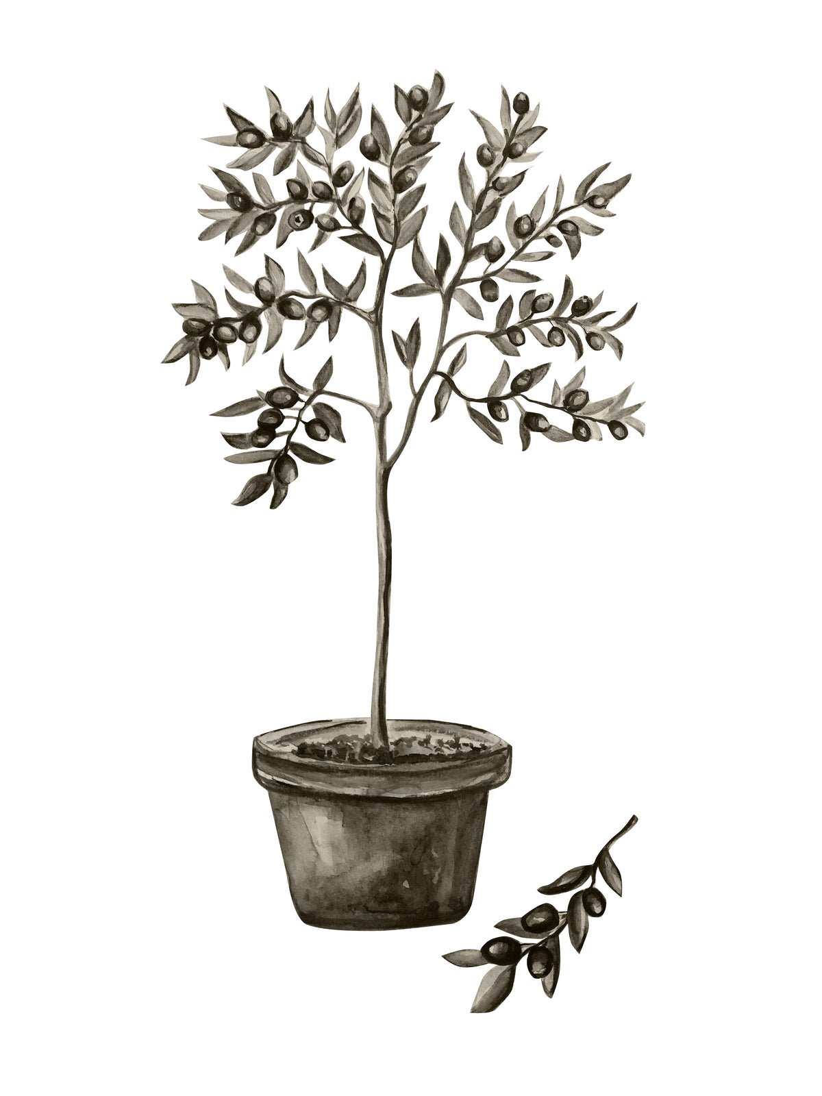 Poster Mediterran aus hochwertigem Papier