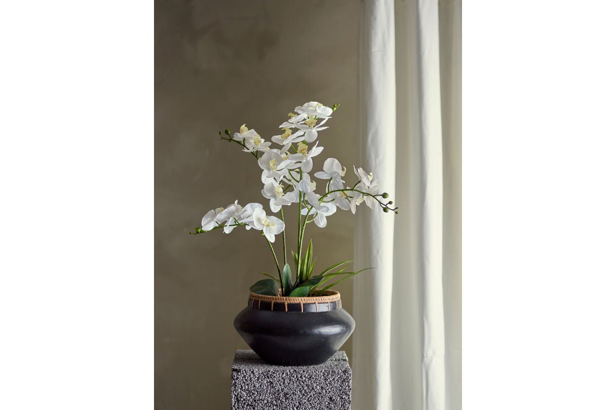 Kunstpflanze White Nola - 84 cm