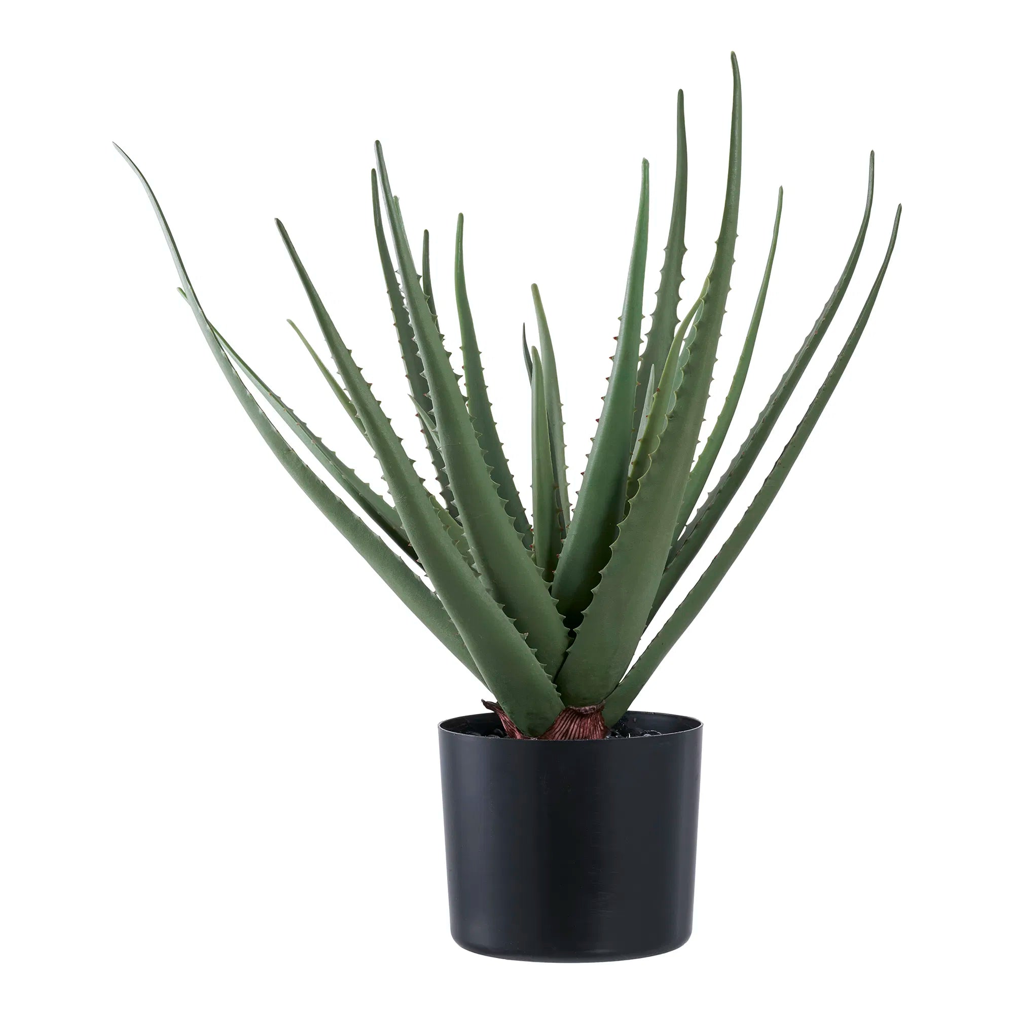 Kunstpflanze Aloe Vera – 51 cm pflegeleichter Klassiker im modernen Look