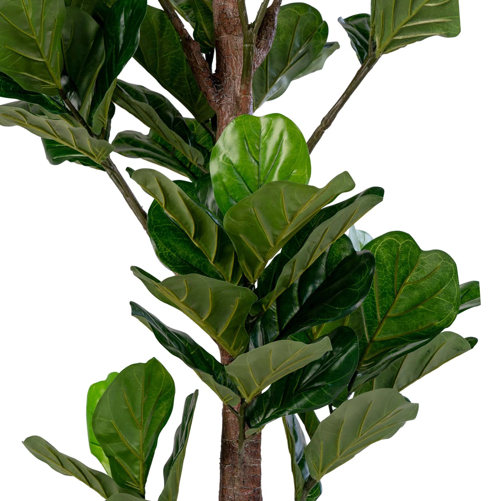 Kunstpflanze Fiddle Leaf Tree – 190 cm XL-Größe mit natürlichem Dschungel-Look