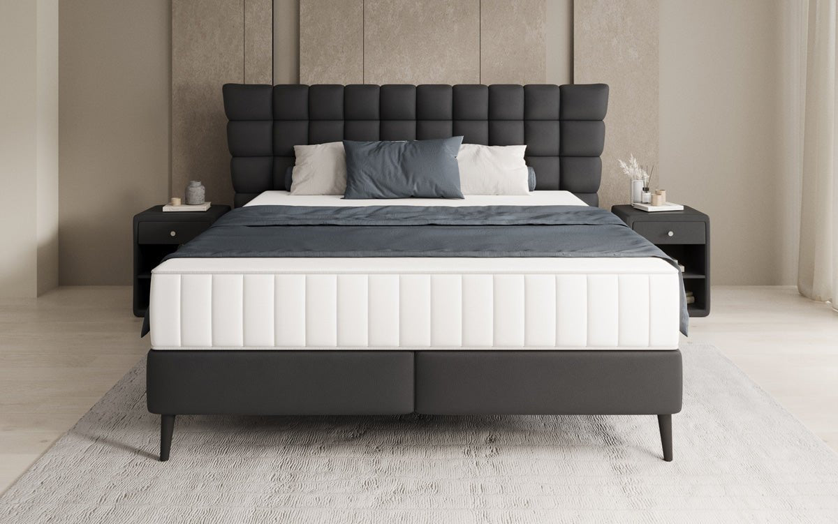 Boxspringbett Alvion in Echtleder