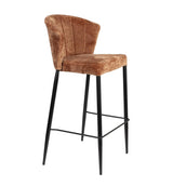 DBN-10007.02#fmtq4:1