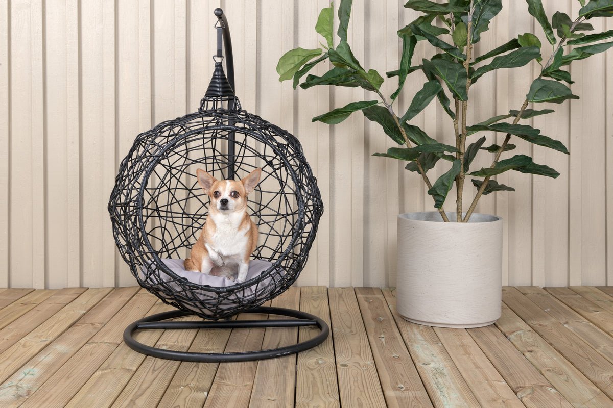 Garden Hanging Chair Layla - made of Rattan/Metal in Black