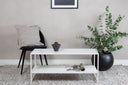 Coffee table/side table Viena – in three colors with storage surface