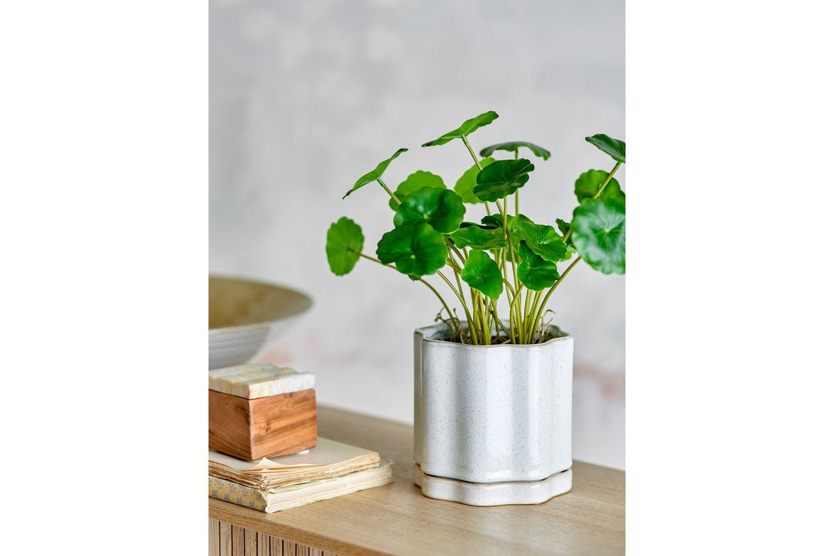 Flower Pot "Velora" with Saucer – Gray Stoneware
