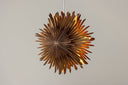 Christmas ceiling light Lyra - ⌀ 35 cm in White & Brown