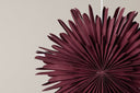 Christmas ceiling light Lyra - ⌀ 60 cm in 5 colors