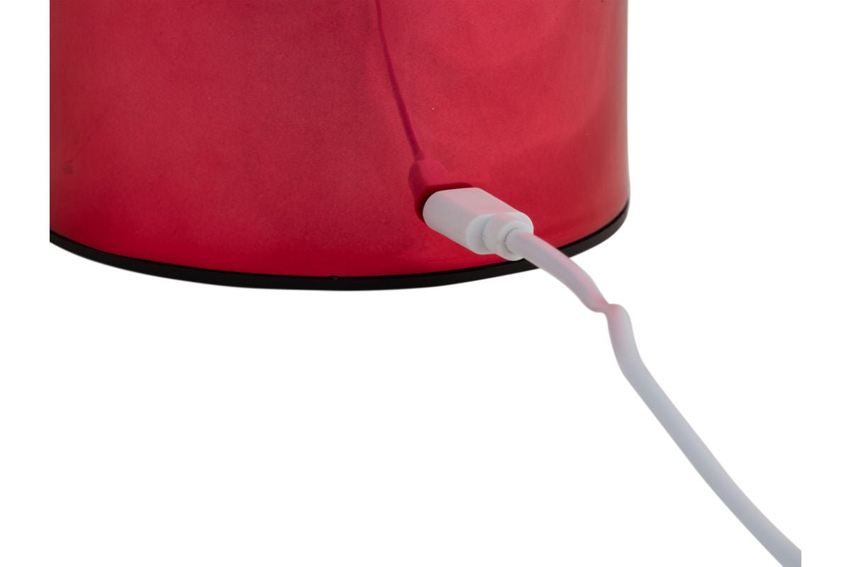 Tischlampe Skogna - Designlampe aus Eisen mit LED