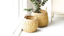 Set of 2 Shelly baskets - in a round shape