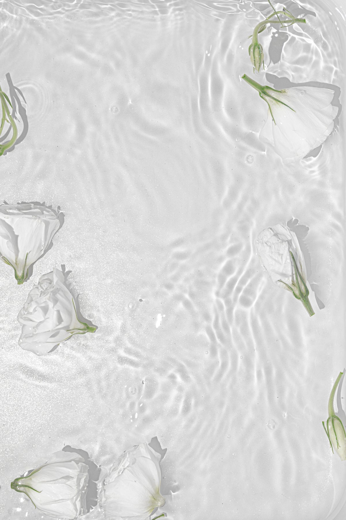 Poster water feature made of high-quality paper