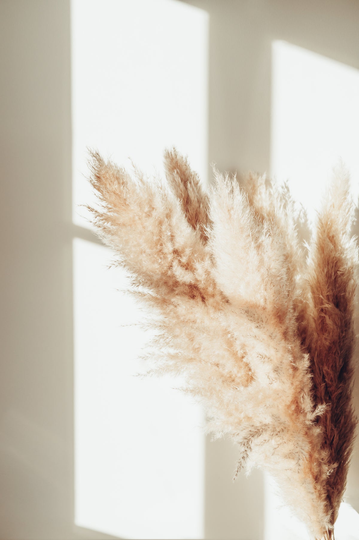 Poster Serenity made of high-quality paper