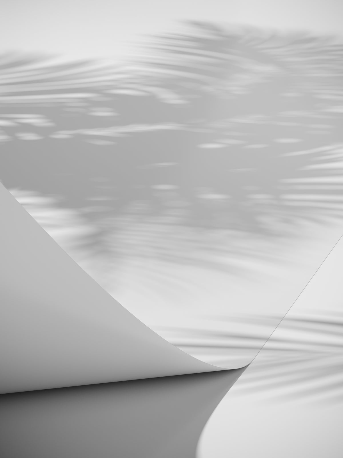 Poster Linea made of high-quality paper