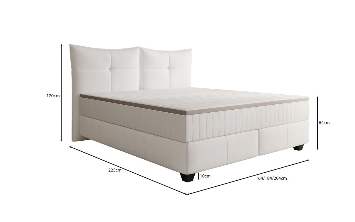 Box spring bed Veyora in genuine leather