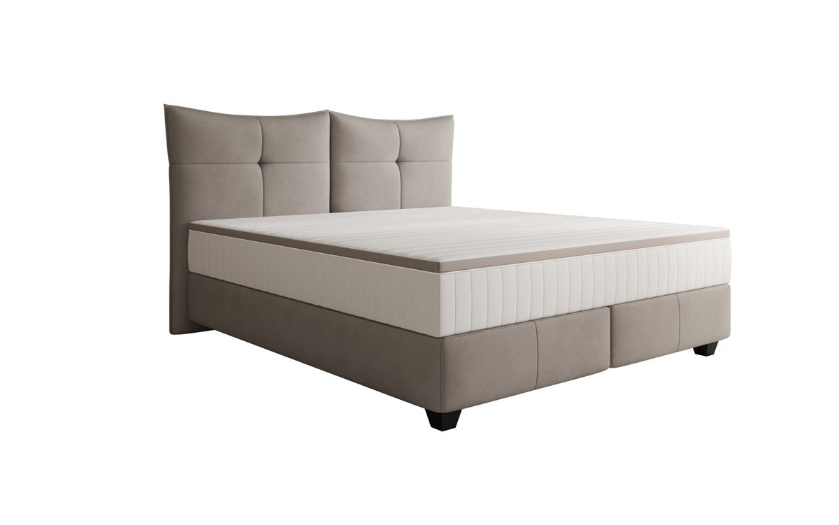 Box spring bed Veyora in genuine leather