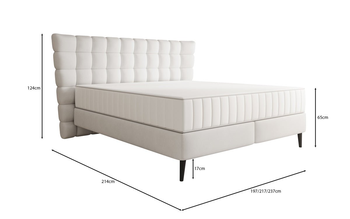 Box spring bed Alvion in genuine leather