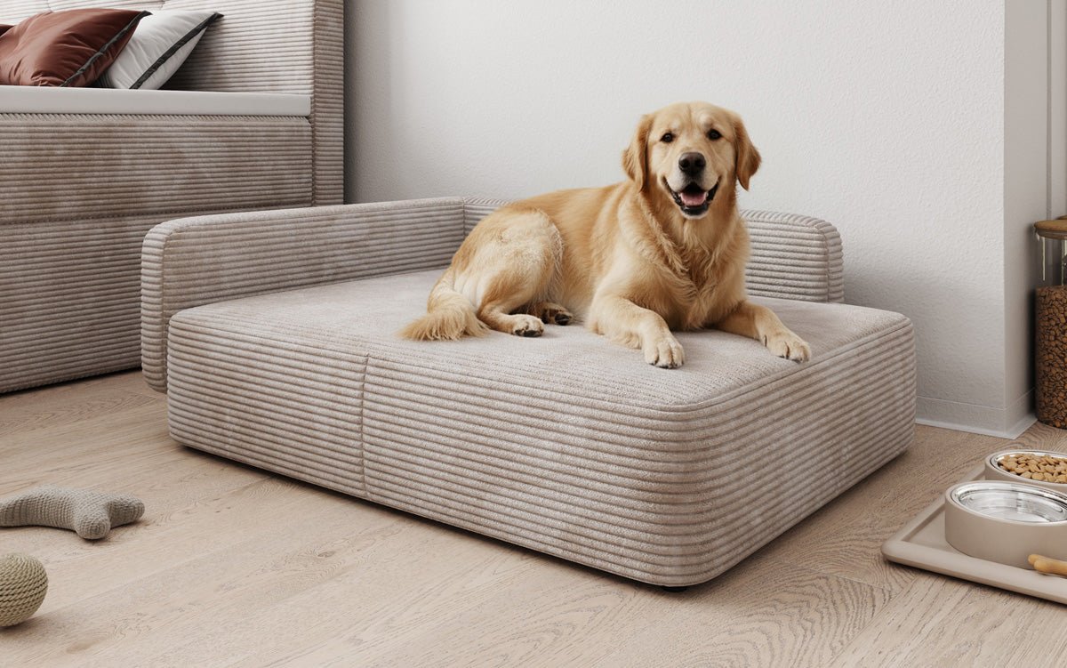Dog bed BelloCouch 80 × 100 cm in Corduroy