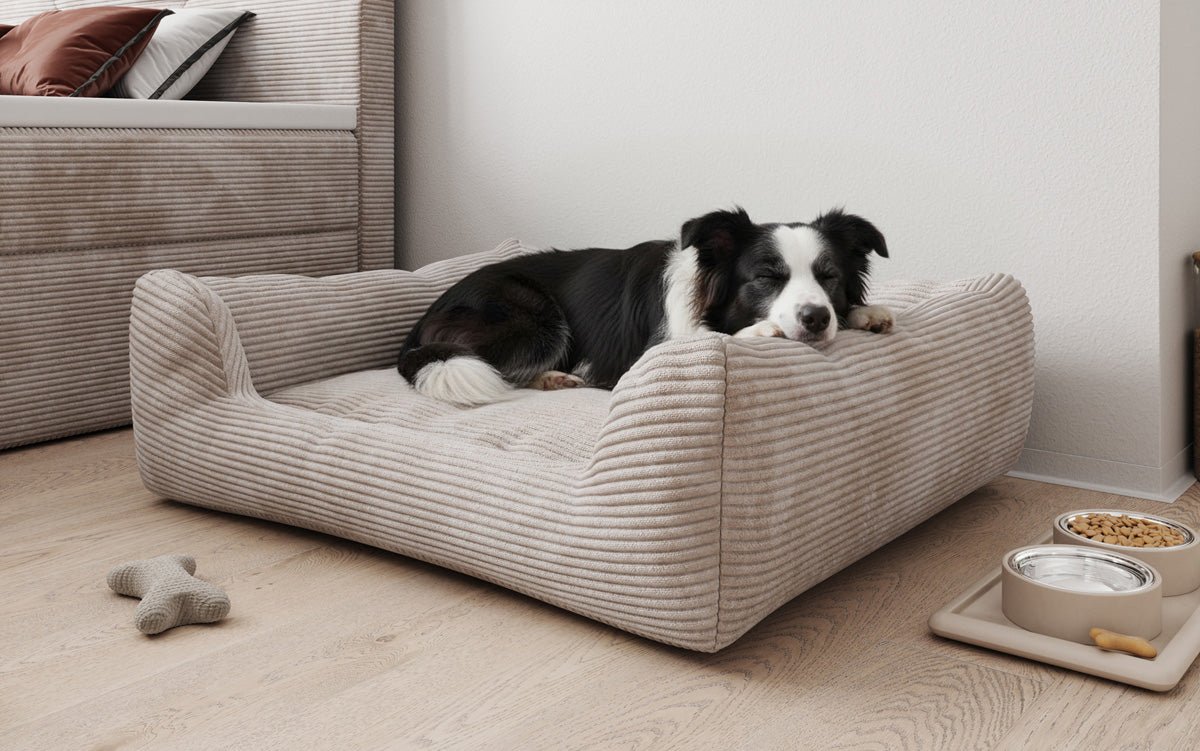 Dog bed Cosmo 120 × 80 cm in Corduroy