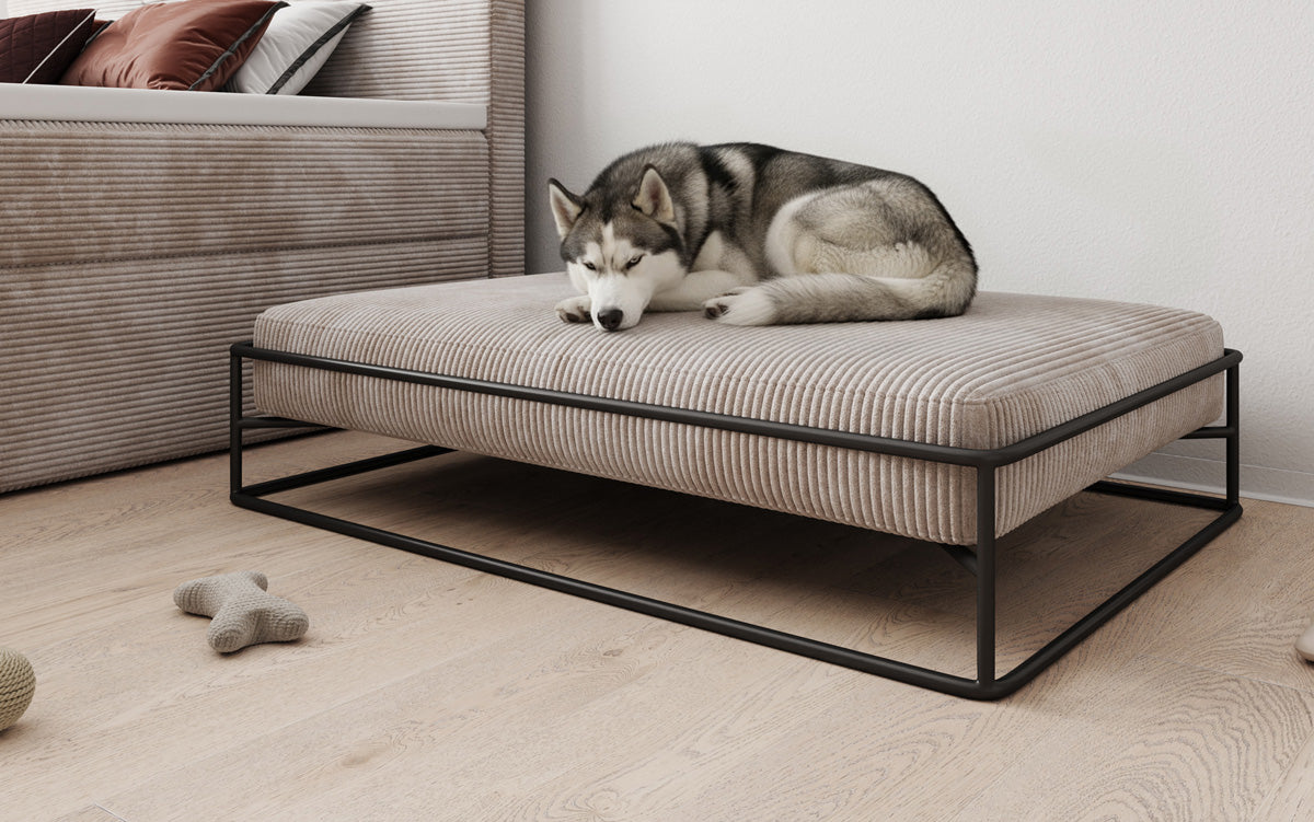 Dog bed Lumo 80 × 100 cm in Corduroy