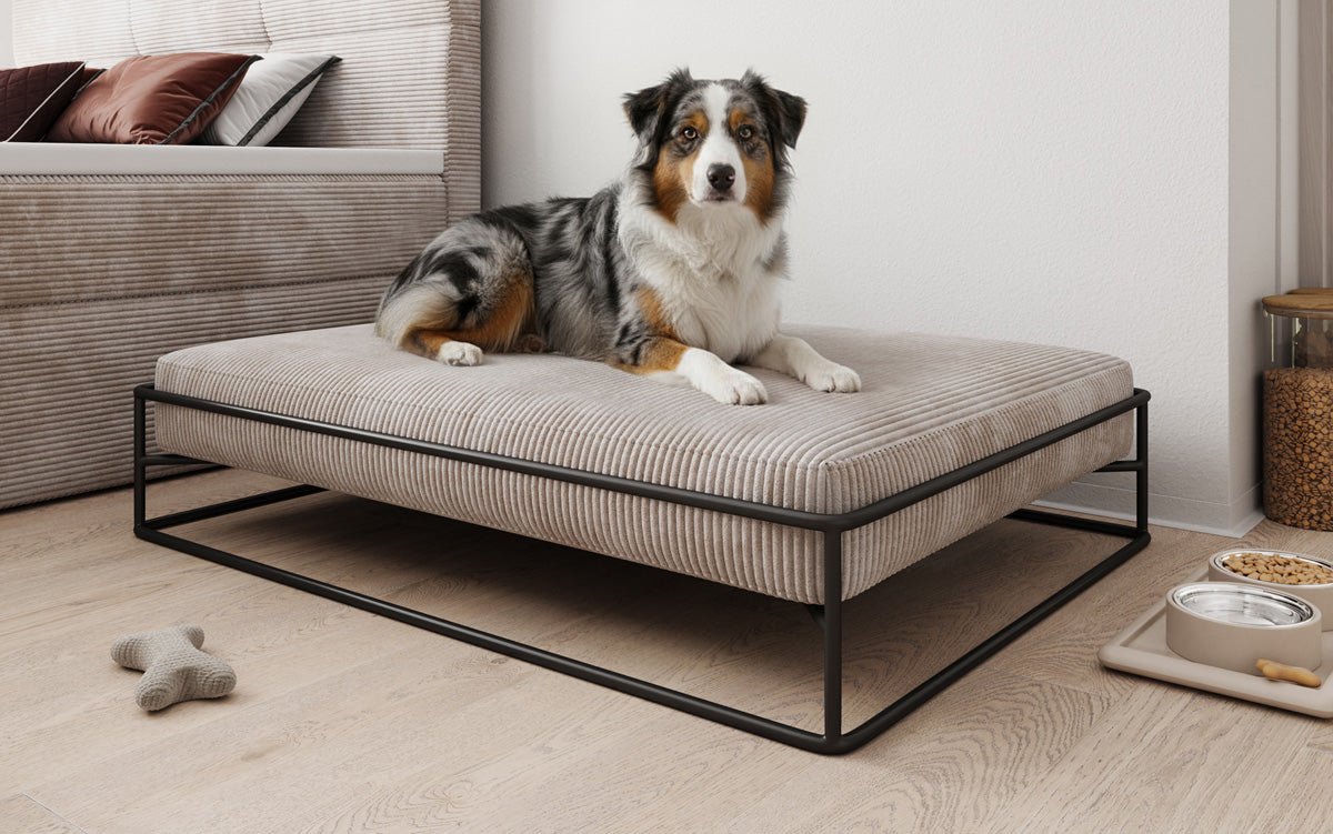 Dog bed Lumo 110x80 cm in Corduroy