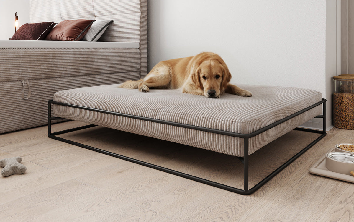 Dog bed Lumo 100x120 cm in Corduroy