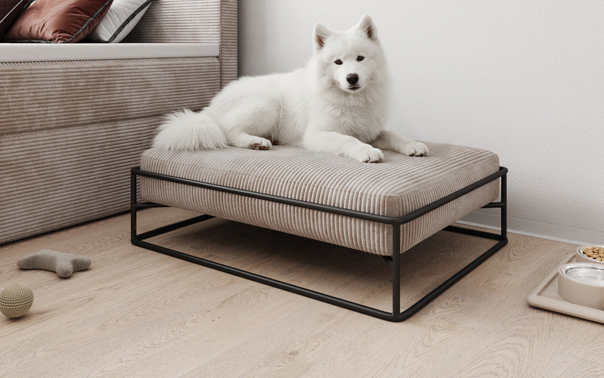 Dog bed Lumo 80 × 60 cm in Corduroy