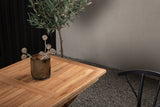 Gartentisch Siana - ein eckiger Esstisch aus Teakholz