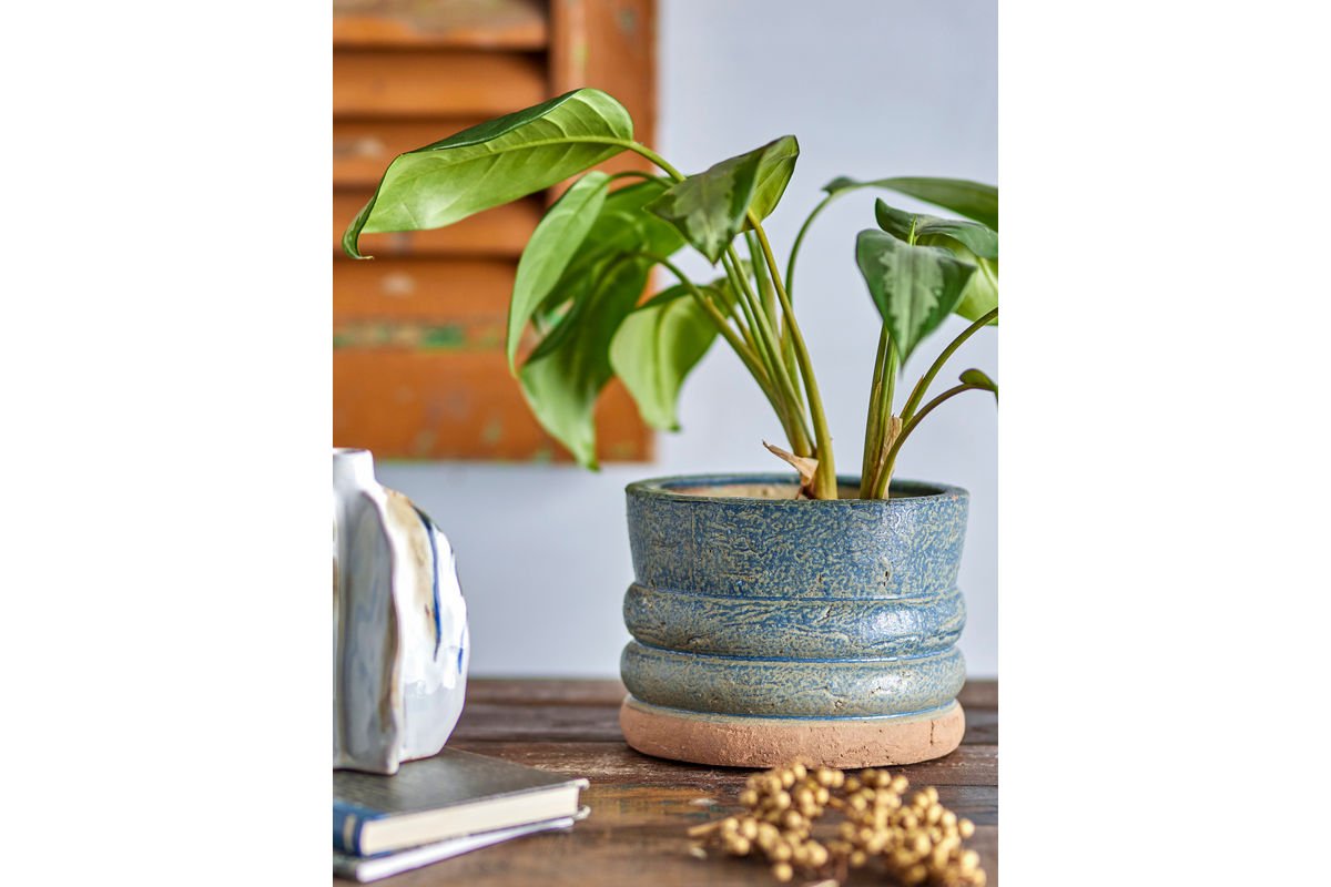 Flower Pot Penoble – with Terracotta Base