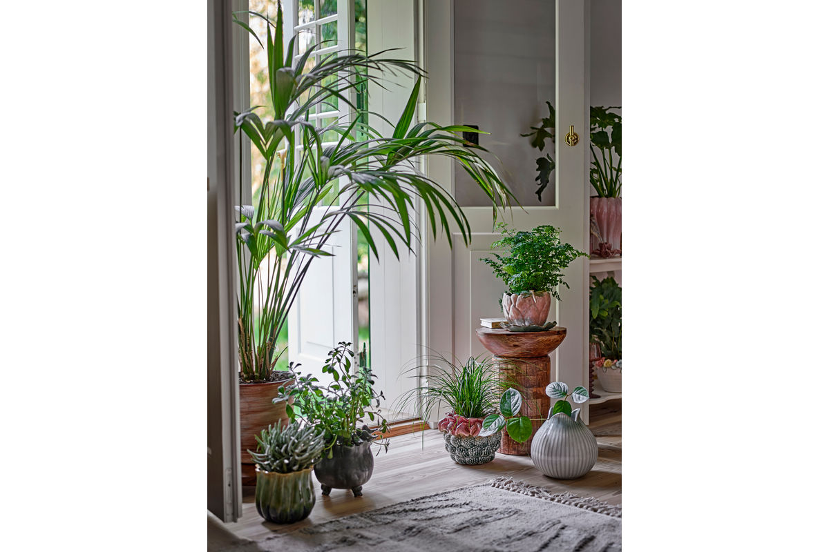 Beistelltisch Nola – naturinspiriert aus Mangoholz