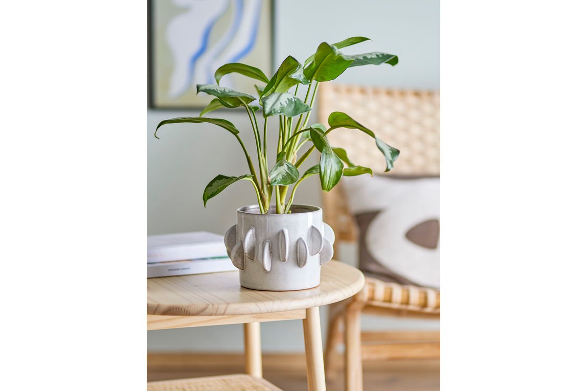 Flower Pot Eira – Sculptural Stoneware Design in White